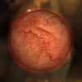 A Red Planet